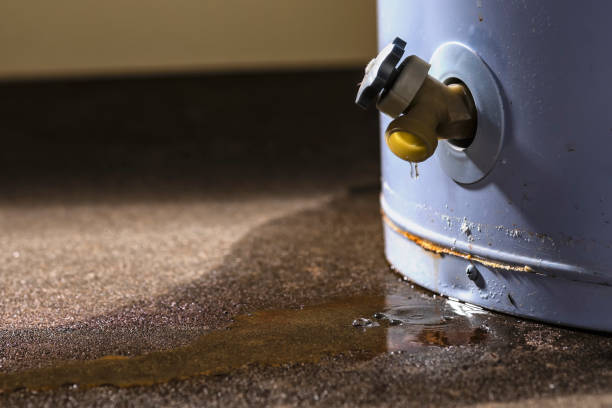 Best Local water damage restoration  in Dunn Loring, VA
