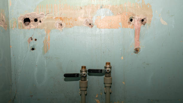Best Water damage restoration near me  in Dunn Loring, VA