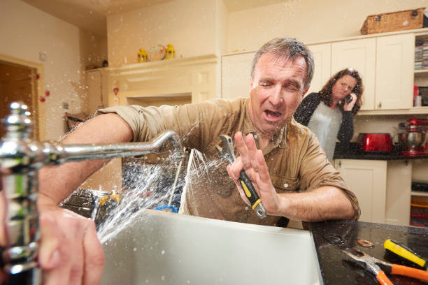 Best Professional water damage repair  in Dunn Loring, VA